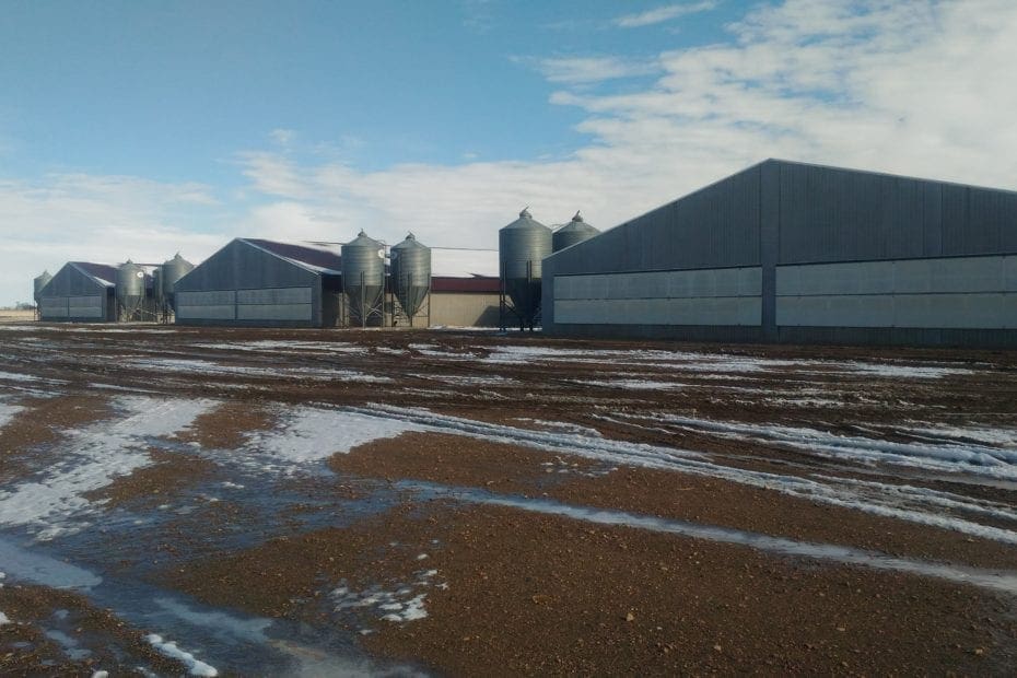 agricultural storage facilities in a field surrounded by melting snow