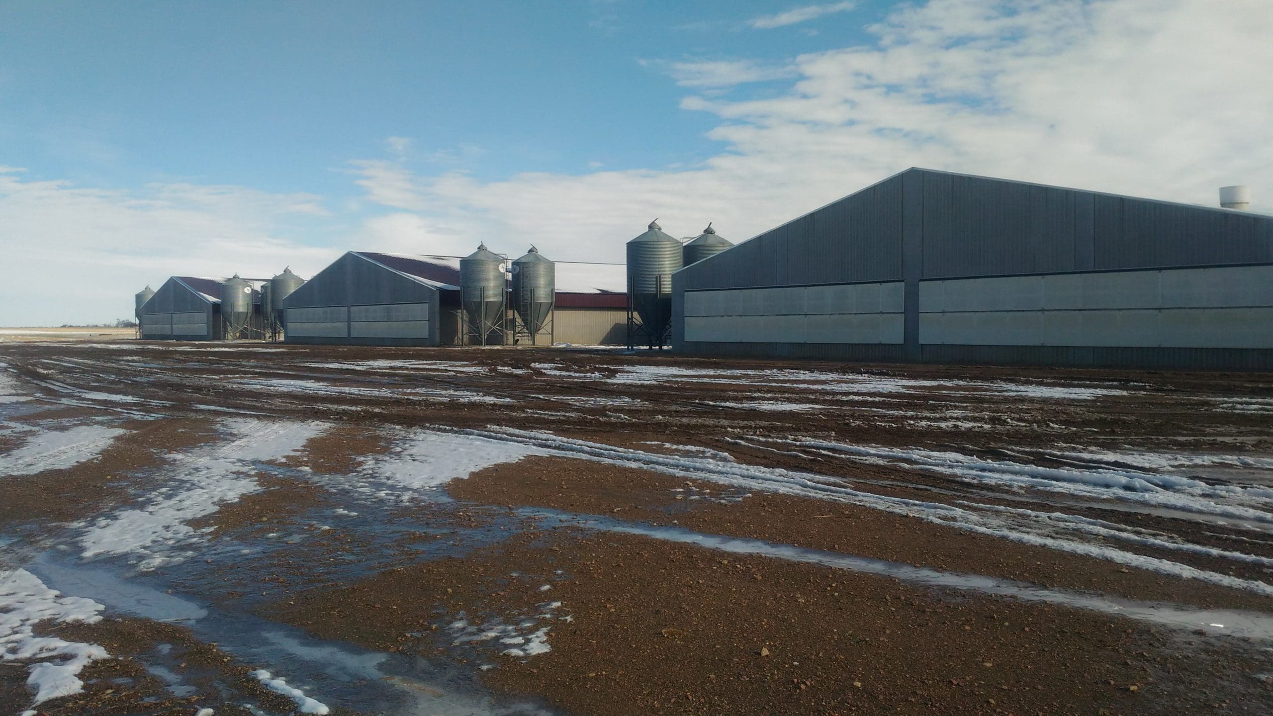 agricultural storage facilities in a field surrounded by melting snow